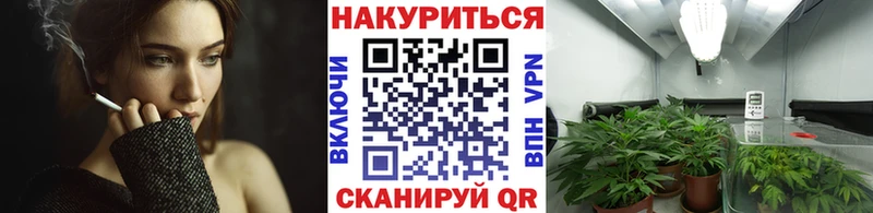 Канабис сатива  Купить закладки  Краснокамск 